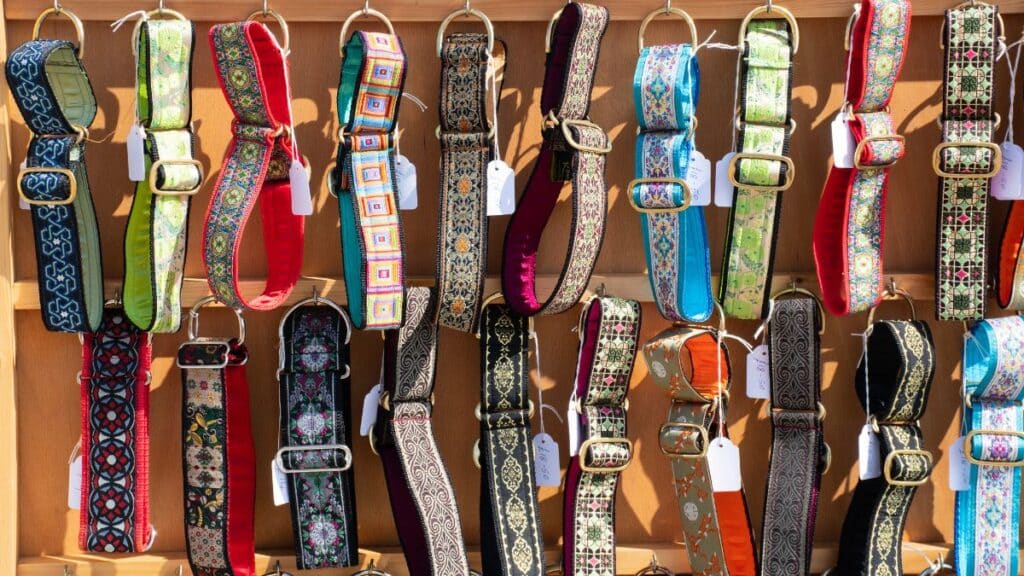 Different colored dog collars