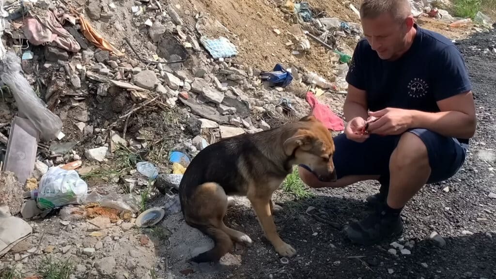 Rescuer feeding Nera
