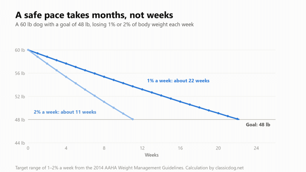 Line chart of a 60 lb dog losing weight toward a 48 lb goal: at 1% of body weight a week it takes about 22 weeks, at 2% a week about 11 weeks.