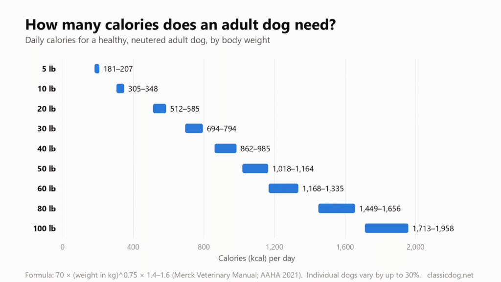 Bar chart of daily calories for a healthy neutered adult dog by body weight: 5 lb 181–207 kcal, 10 lb 305–348, 20 lb 512–585, 30 lb 694–794, 40 lb 862–985, 50 lb 1,018–1,164, 60 lb 1,168–1,335, 80 lb 1,449–1,656, 100 lb 1,713–1,958.