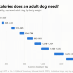 Bar chart of daily calories for a healthy neutered adult dog by body weight: 5 lb 181–207 kcal, 10 lb 305–348, 20 lb 512–585, 30 lb 694–794, 40 lb 862–985, 50 lb 1,018–1,164, 60 lb 1,168–1,335, 80 lb 1,449–1,656, 100 lb 1,713–1,958.