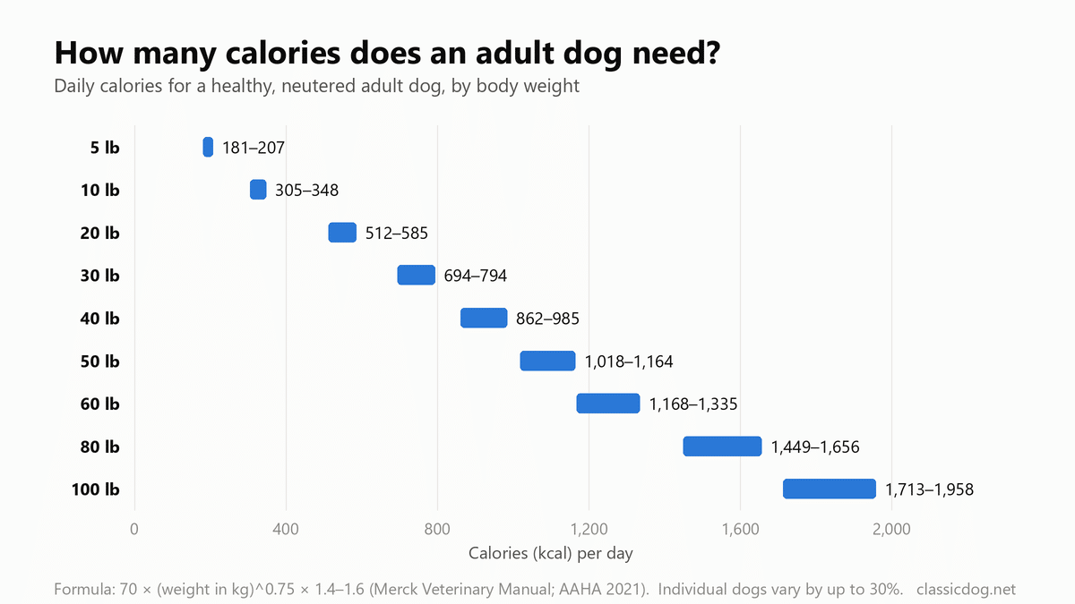 Bar chart of daily calories for a healthy neutered adult dog by body weight: 5 lb 181–207 kcal, 10 lb 305–348, 20 lb 512–585, 30 lb 694–794, 40 lb 862–985, 50 lb 1,018–1,164, 60 lb 1,168–1,335, 80 lb 1,449–1,656, 100 lb 1,713–1,958.