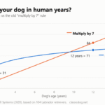 Line chart comparing a dog's age in human years using the research formula (16 × ln(age) + 31) with the old multiply-by-7 rule, from 0 to 16 dog years. The formula curve rises steeply to 31 at 1 year and 42 at 2 years, then flattens to about 71 at 12 years, while the times-7 line reaches 84 at 12 years.