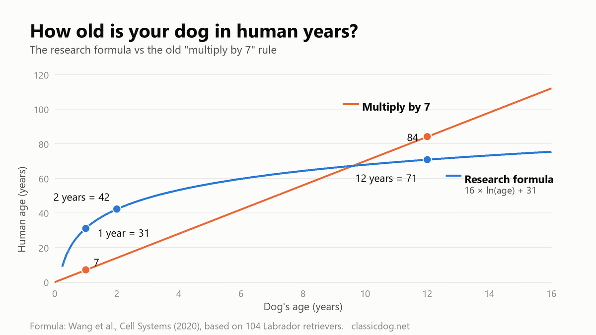 Line chart comparing a dog's age in human years using the research formula (16 × ln(age) + 31) with the old multiply-by-7 rule, from 0 to 16 dog years. The formula curve rises steeply to 31 at 1 year and 42 at 2 years, then flattens to about 71 at 12 years, while the times-7 line reaches 84 at 12 years.