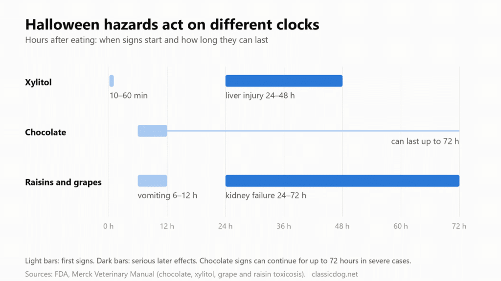 Chart of when signs start after a dog eats xylitol, chocolate, or raisins and grapes, in hours