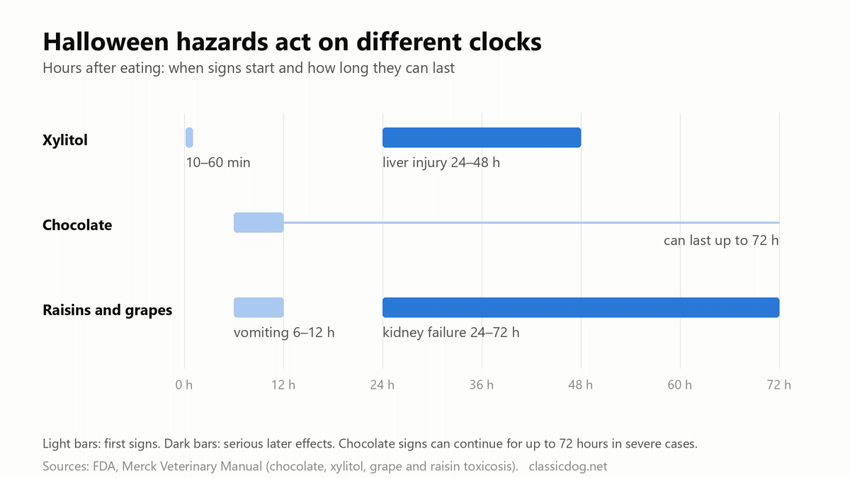 Chart of when signs start after a dog eats xylitol, chocolate, or raisins and grapes, in hours