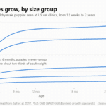Line chart of median weight for healthy male puppies from 3 months to 2 years in five size groups: toy about 8 lb, small 15 lb, medium 26 lb, large 60 lb and very large 75 lb as adults. At 6 months each group is about two-thirds of adult weight.