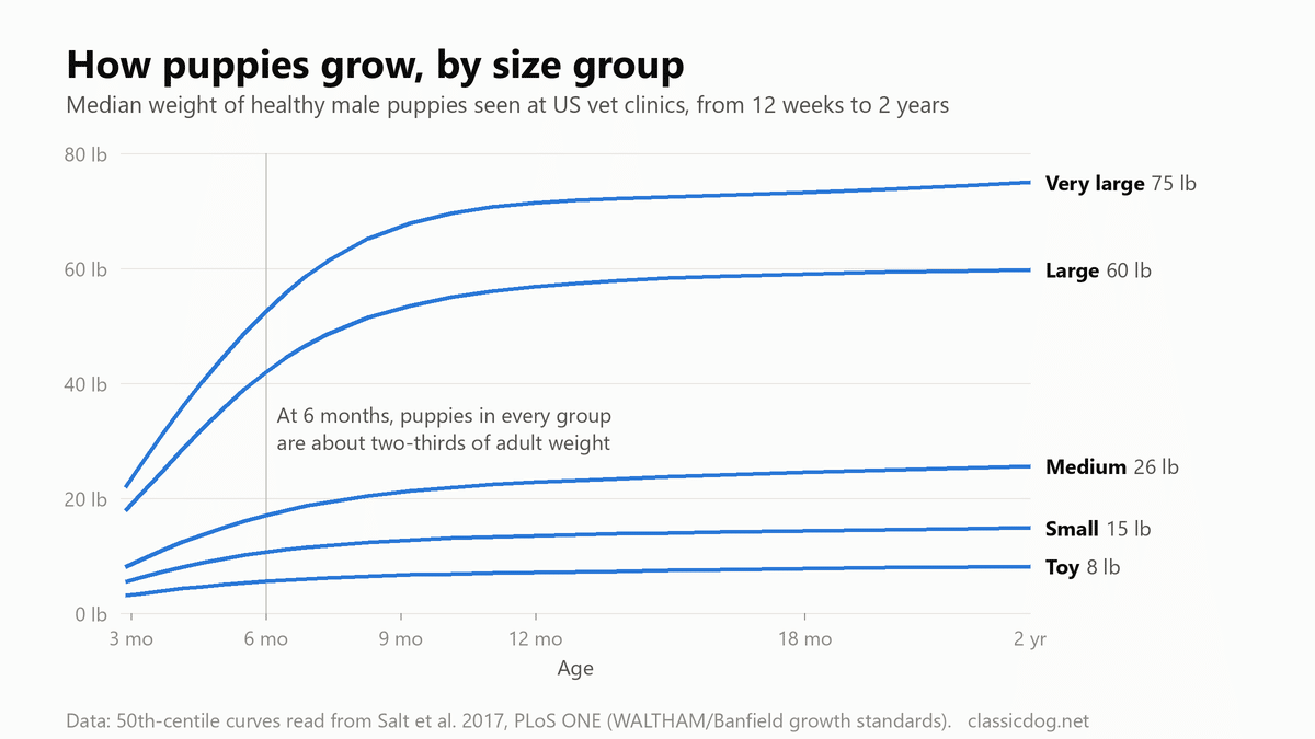 Line chart of median weight for healthy male puppies from 3 months to 2 years in five size groups: toy about 8 lb, small 15 lb, medium 26 lb, large 60 lb and very large 75 lb as adults. At 6 months each group is about two-thirds of adult weight.