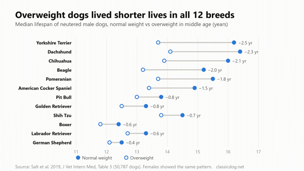 Dot chart comparing median lifespan of normal-weight and overweight neutered male dogs in 12 breeds. Overweight dogs lived shorter in every breed, from 2.5 years less in Yorkshire Terriers to 0.4 years less in German Shepherds.