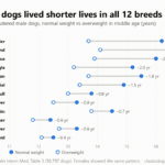 Dot chart comparing median lifespan of normal-weight and overweight neutered male dogs in 12 breeds. Overweight dogs lived shorter in every breed, from 2.5 years less in Yorkshire Terriers to 0.4 years less in German Shepherds.