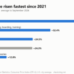 Bar chart of US price changes from the 2021 average to September 2026: vet services up 44.6%, pet services (grooming, boarding, training) up 32.4%, pet food and treats up 24.5%, all consumer prices up 24.3%, pet supplies and accessories up 12.8%.